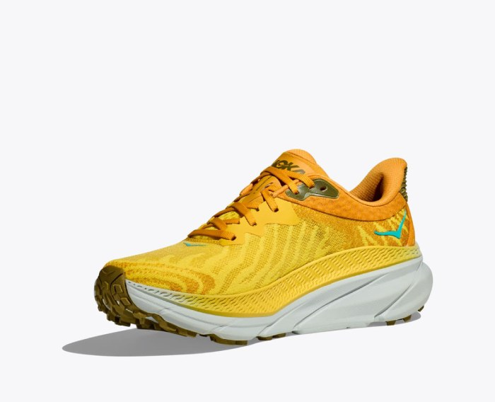 HOKA challenger 7