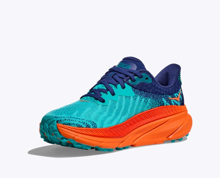 HOKA challenger 7