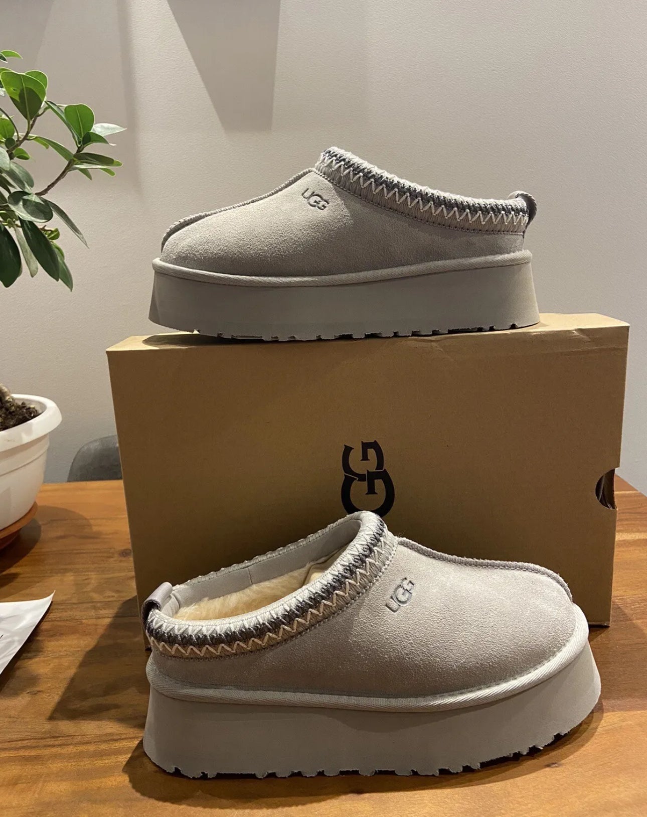 UGG Shoes | UGG Tazz Slipper Seal